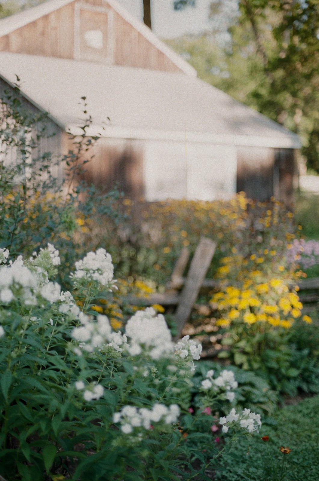 J+E _ Film-3Sharon Temple Museum in East Gwillimbury Ontario film wedding.jpg