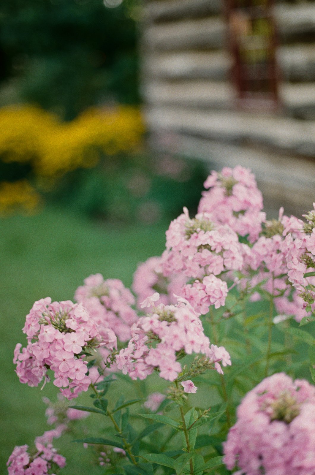 J+E _ Film-2Sharon Temple Museum in East Gwillimbury Ontario film wedding.jpg