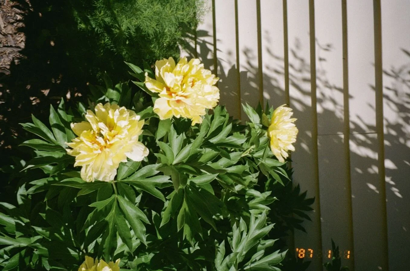 🌼Spring Mini Sessions are being planned details soon&hellip;