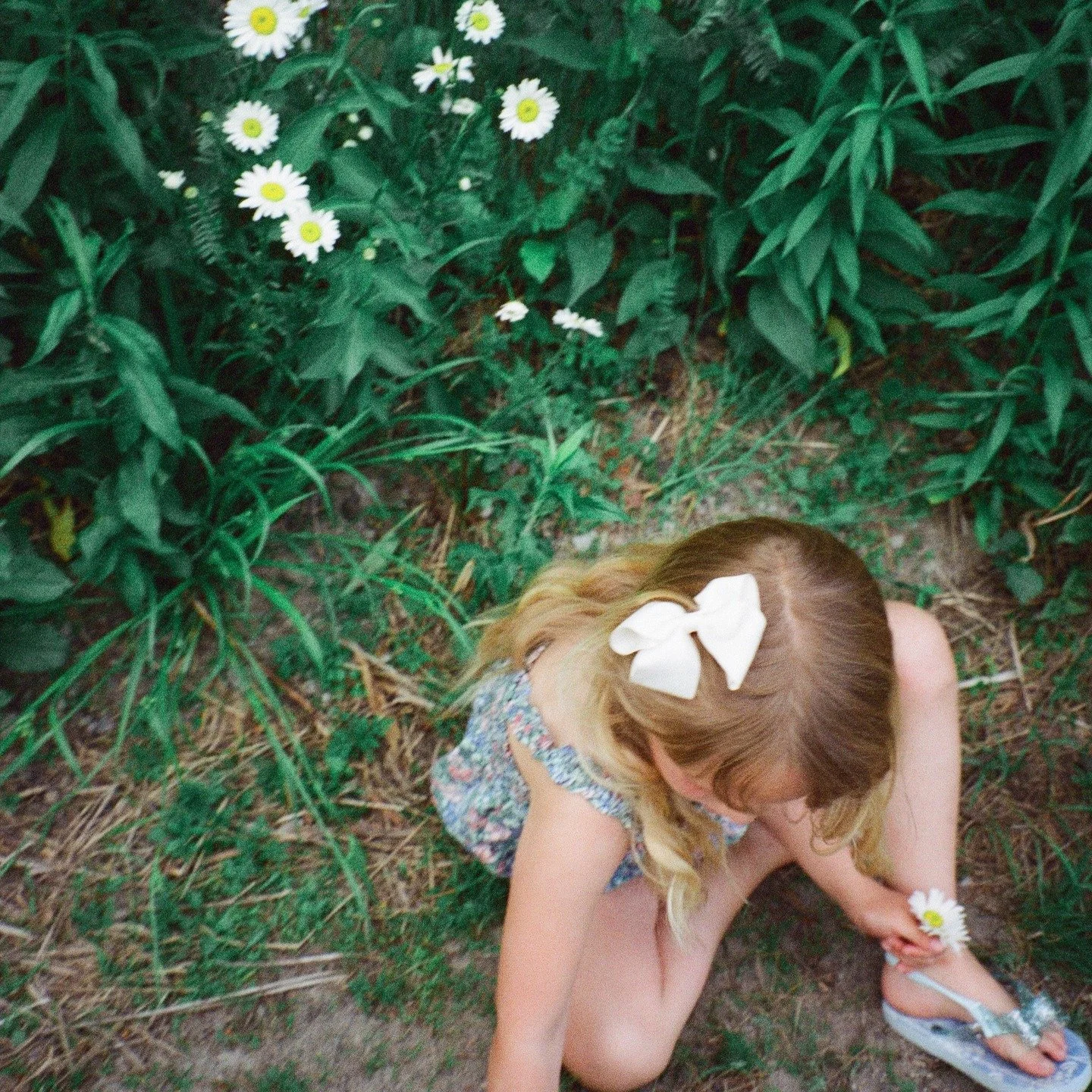 2026 Spring Mini Sessions

Where tiny hands pick flowers and everything feels new again

These petite limited sessions are my most accessible offering of the season, created to make capturing this chapter simple and meaningful.

When: May 23, 2026

W