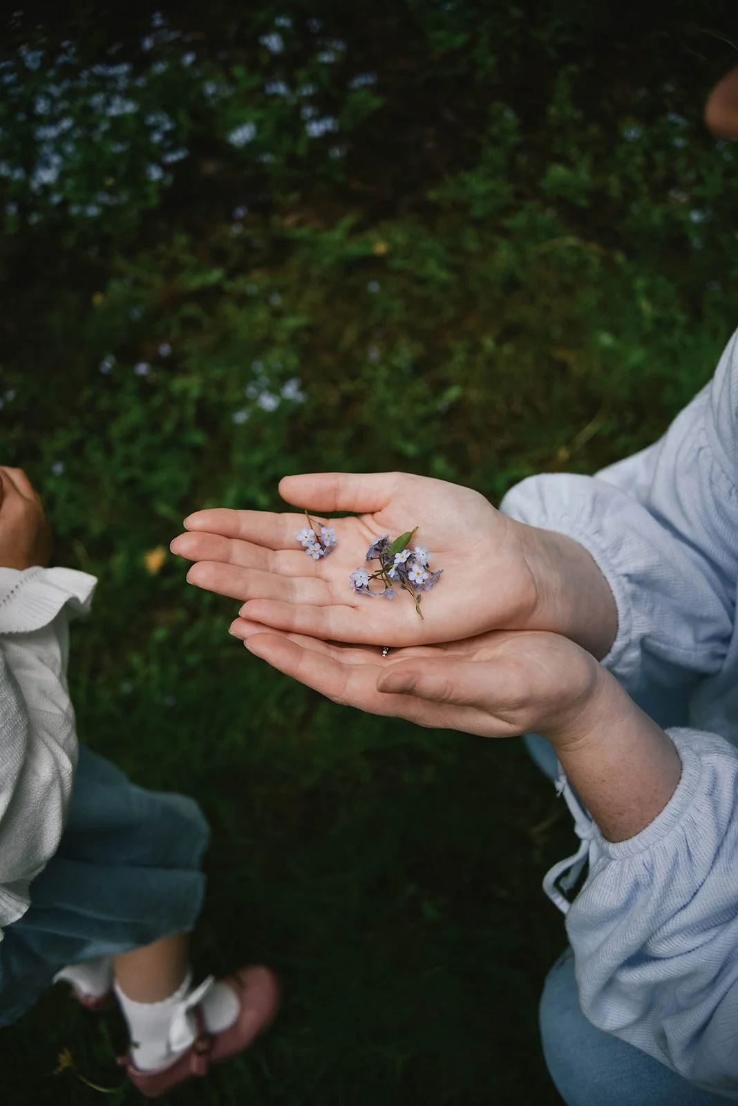 Toronto family photographer (16).jpg