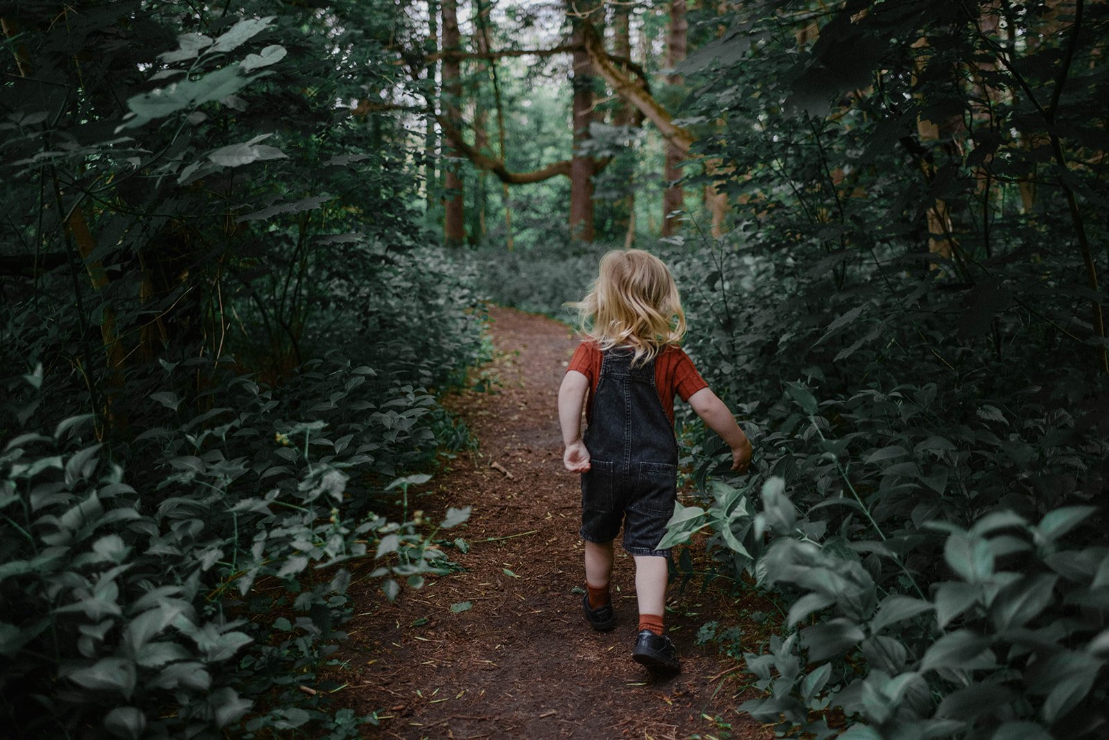 Family Summer 24 -2933.jpg