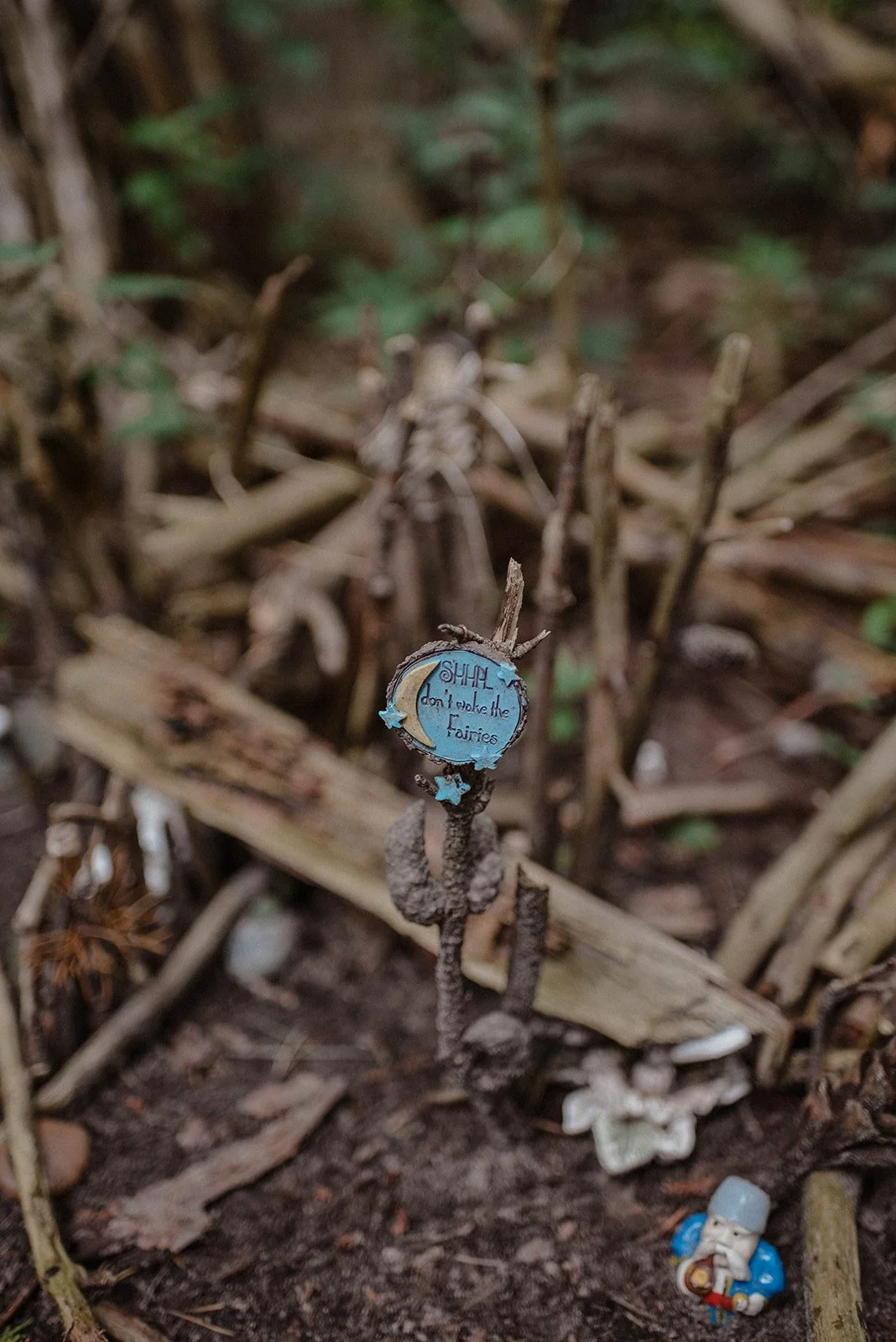 Family Summer 24 -2973.jpg