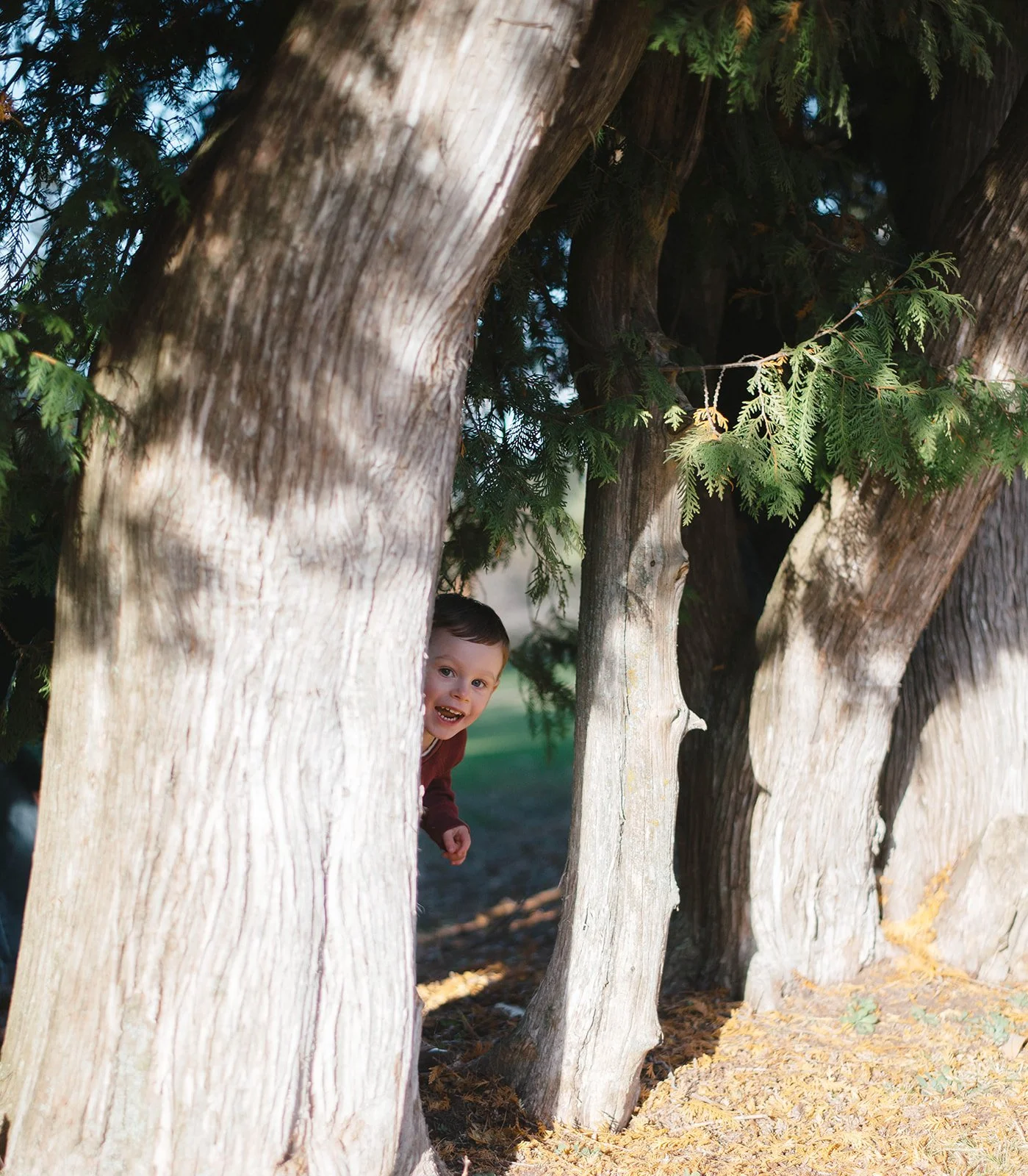 Toronto family photographer (22).jpg