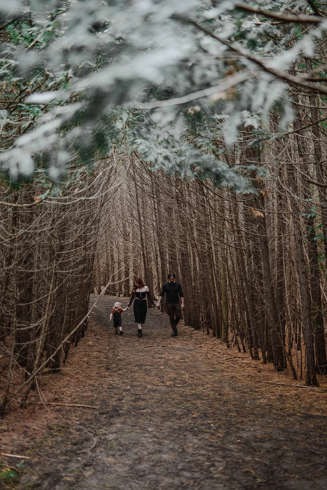 Family Summer 24 -3938.jpg