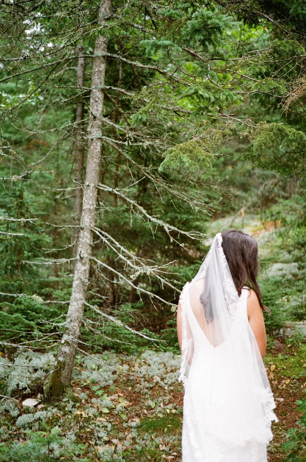 Bride on 35 mm film around the Niagara region