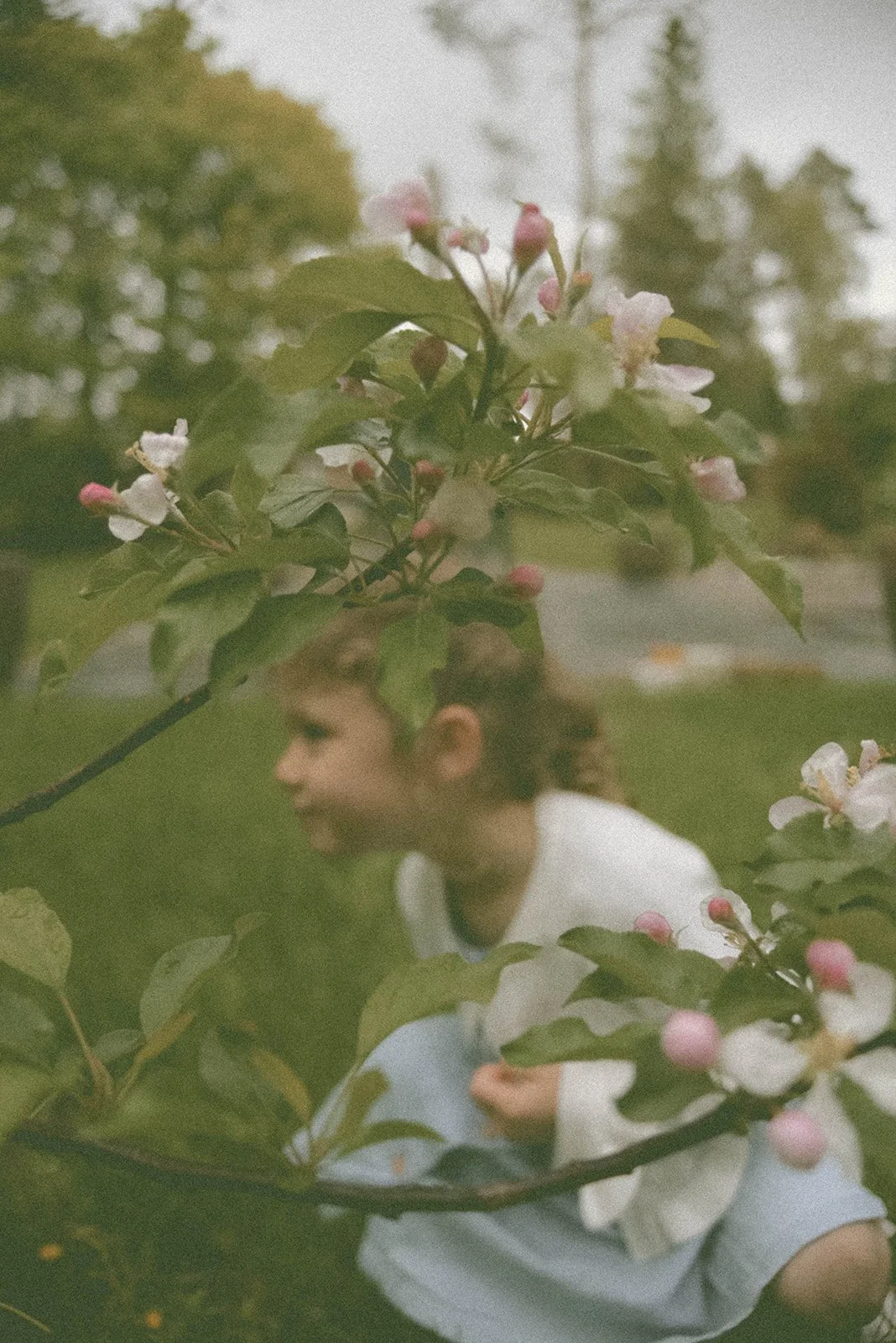 Family Spring 25-97_websize.jpg