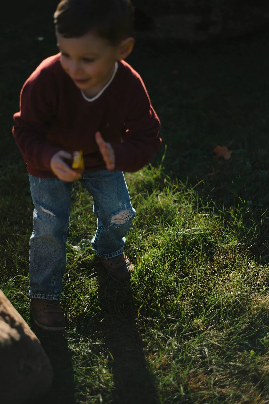 Toronto family photographer (17).jpg