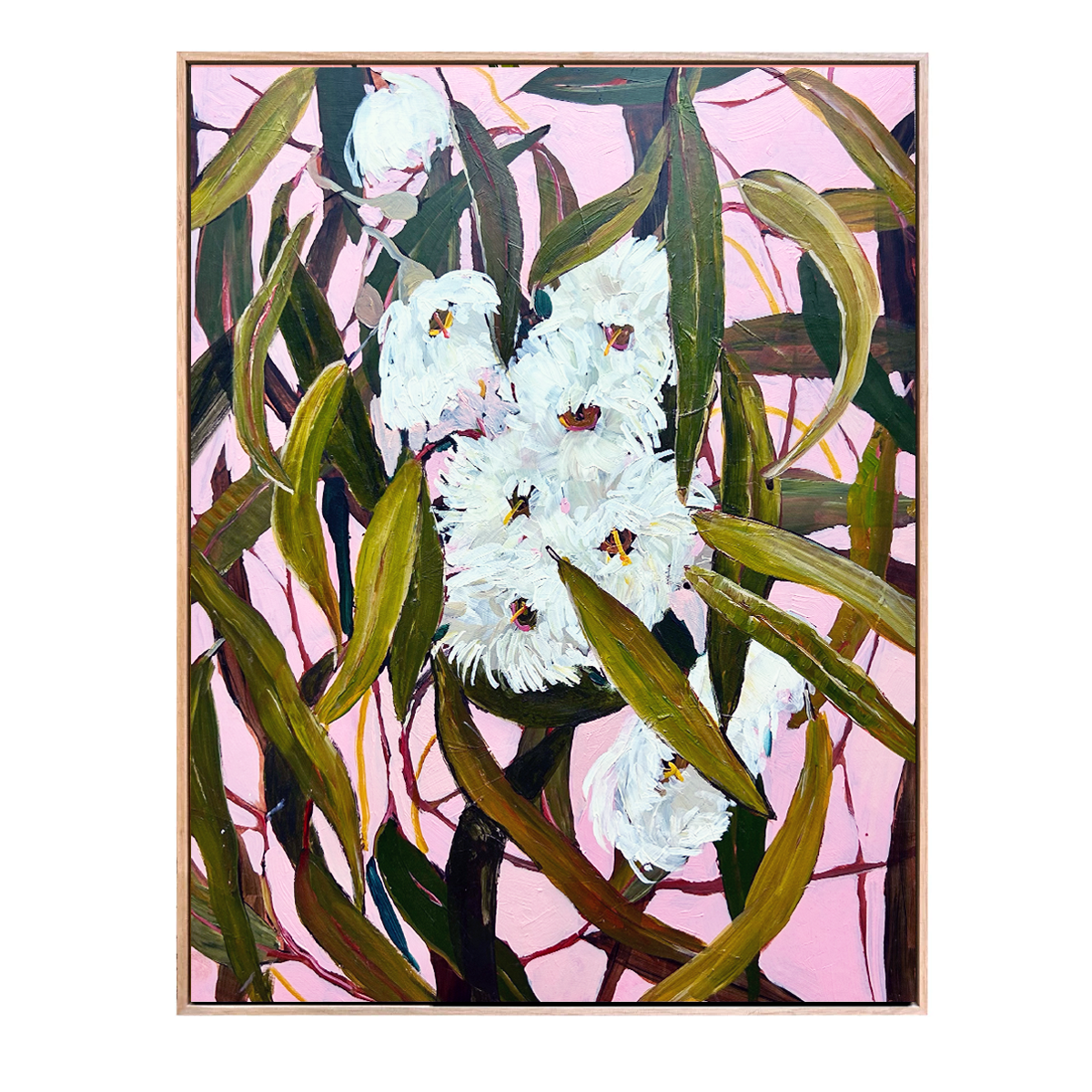 Wind in the gumtrees