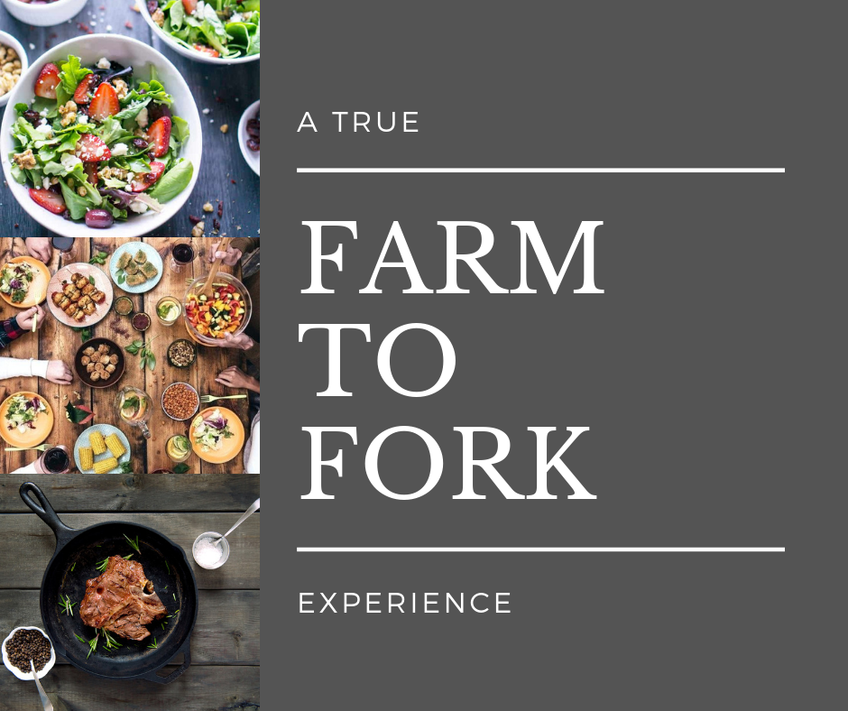 A FARM TO FORK EXPERIENCE.png