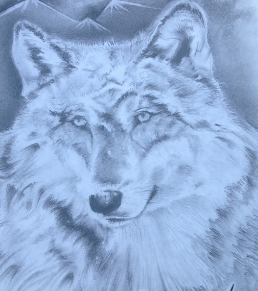troys wolf.png