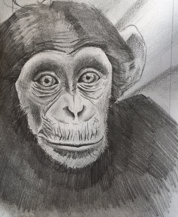 Inmates, Animals, and Art: Creative Expressions of Hope 