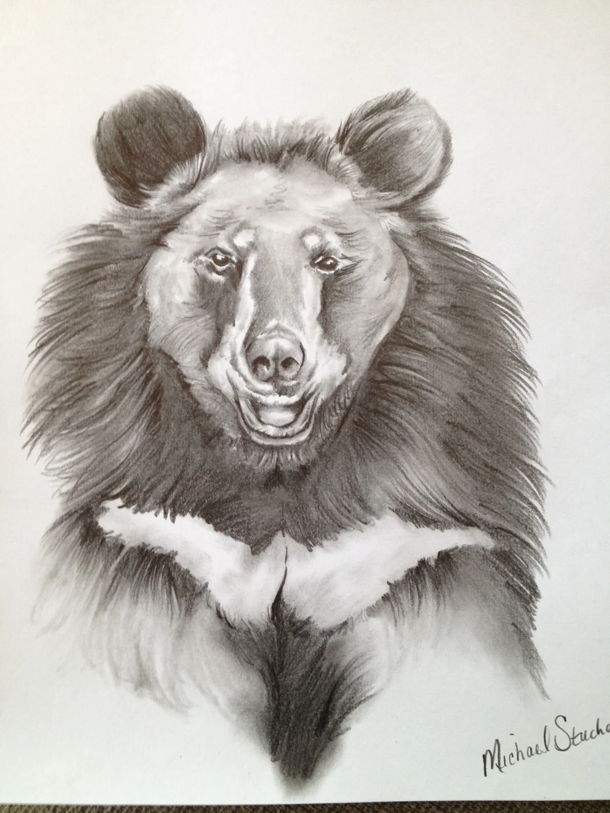 The Healing Power of Animals: Moon Bear Has a Place