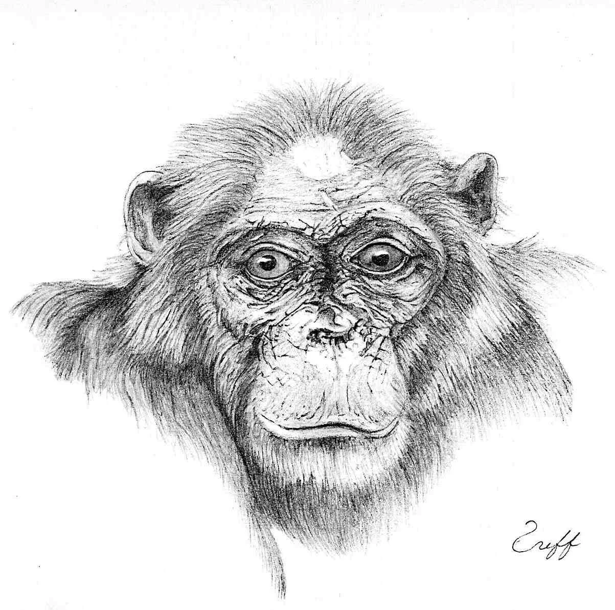 Fifi, by Jeff. This drawing won an award at an art festival to which Marc submitted it. All signed artwork and prose using first and last names are posted with the permission of the artist or writer.