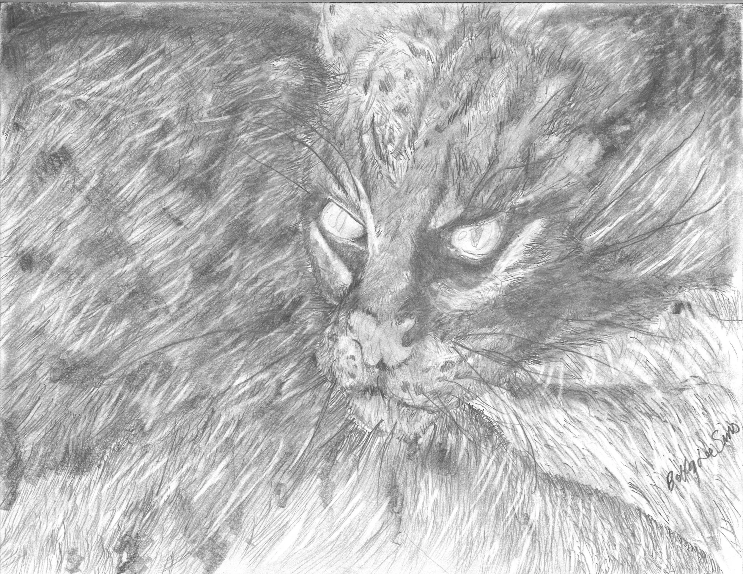 IMG_7964.jpeg