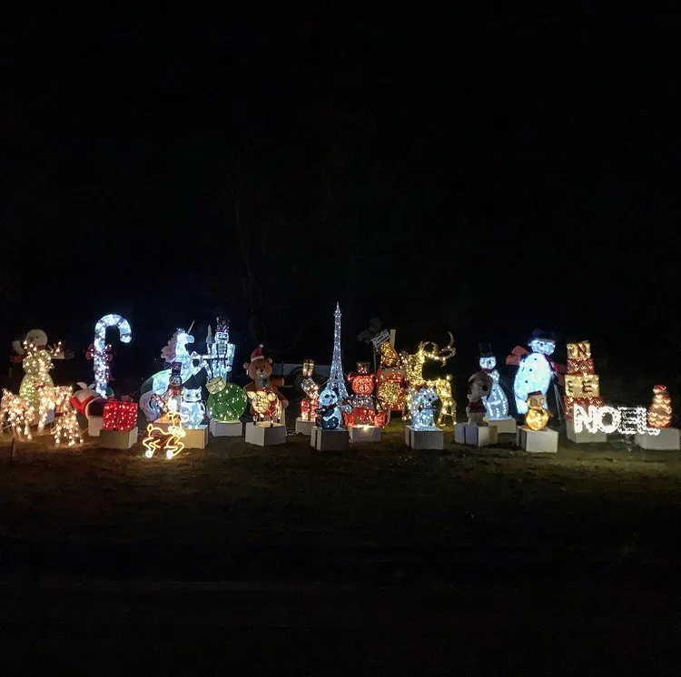 image-asset (2).jpeg