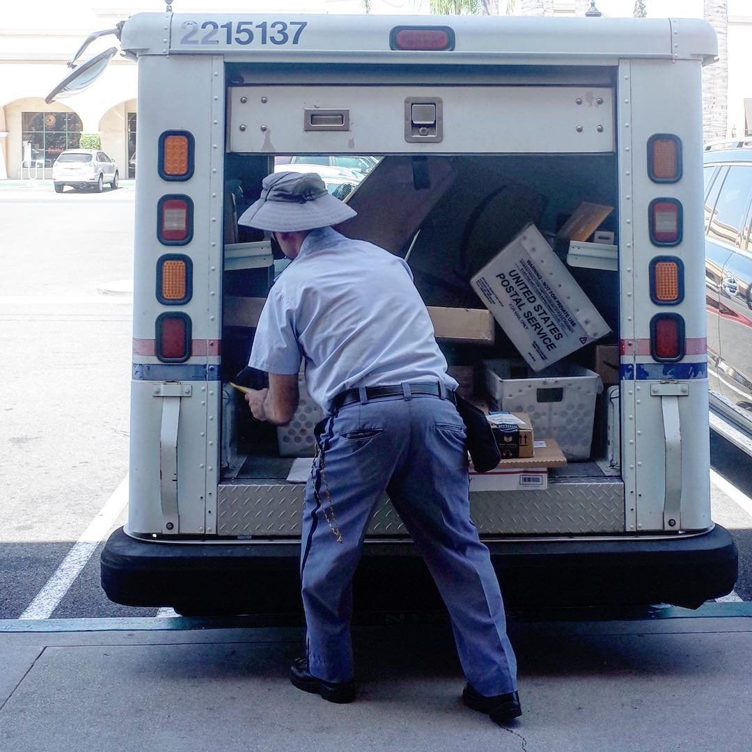 [image] - 447524.jpeg