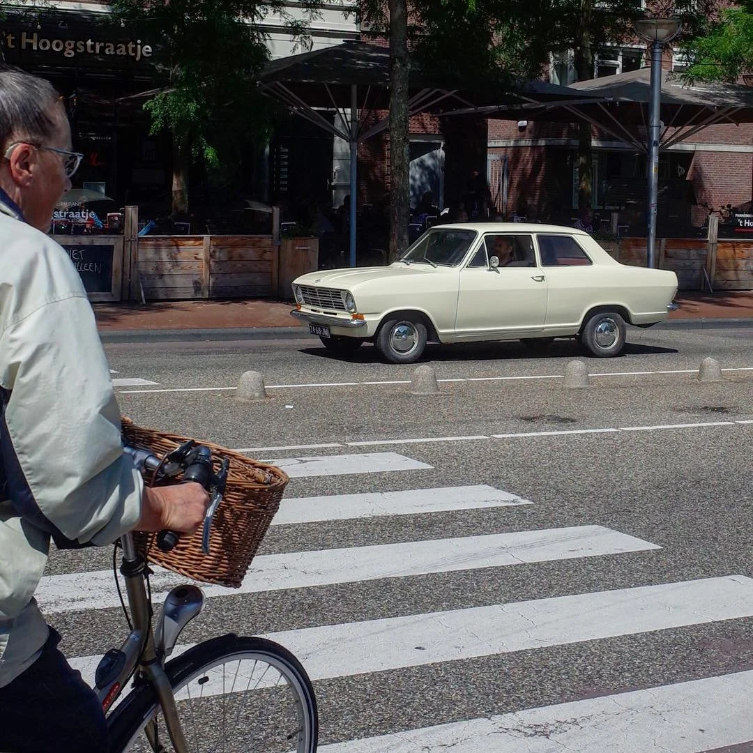 [image] - 2897379.jpeg