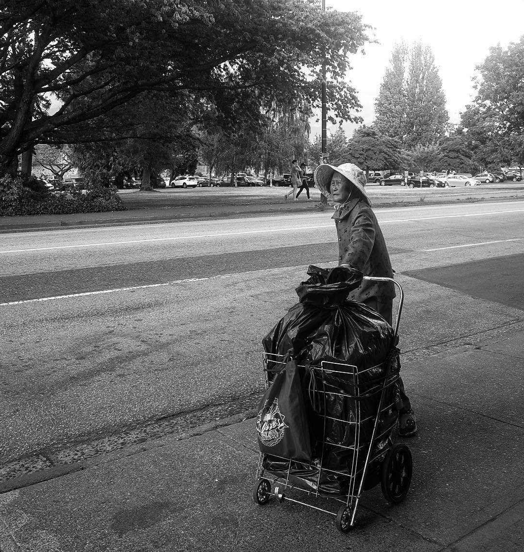 [image] - 9328041.jpeg