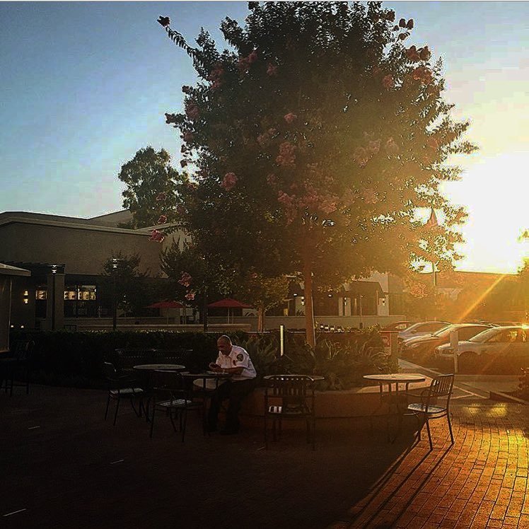 [image] - 6053090.jpeg