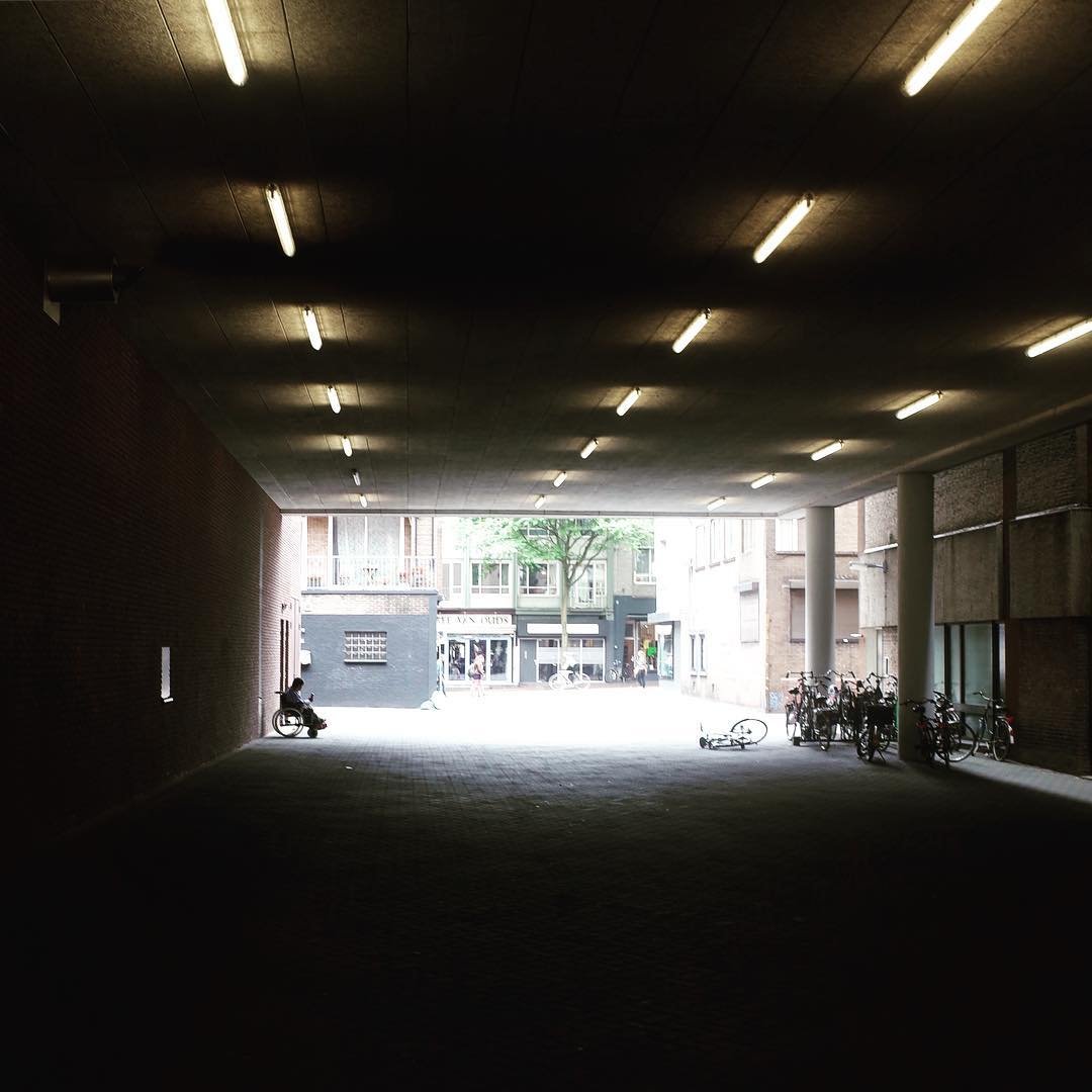 [image] - 8213654.jpeg