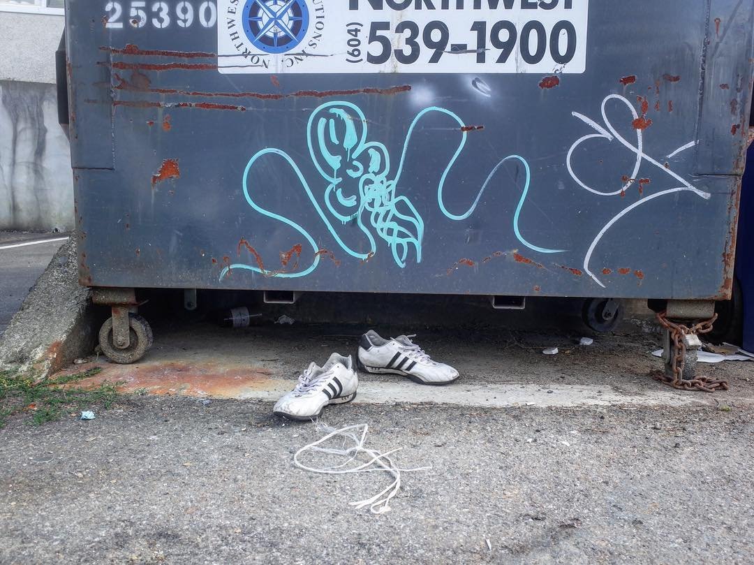 [image] - 3289096.jpeg