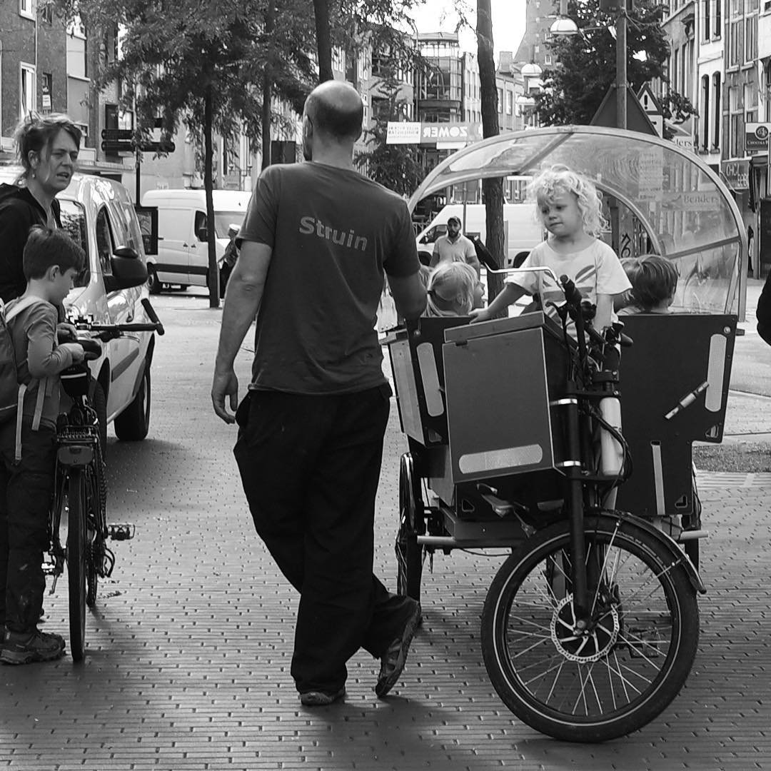 [image] - 1162356.jpeg