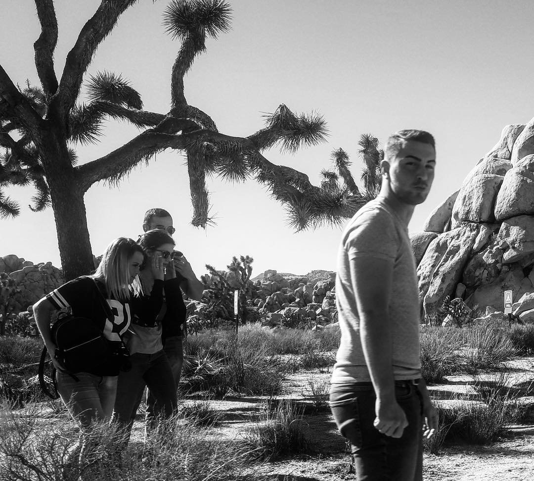 [image] - 8231514.jpeg