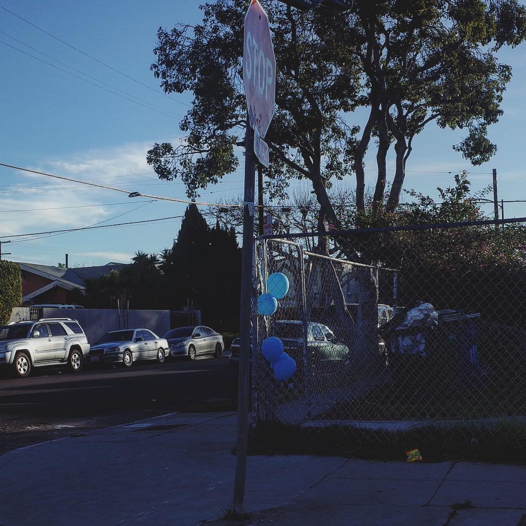 [image] - 782868.jpeg