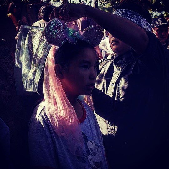 [image] - 6516993.jpeg