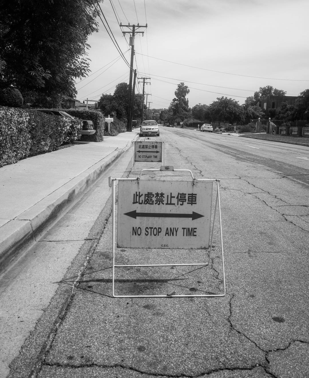 [image] - 270176.jpeg