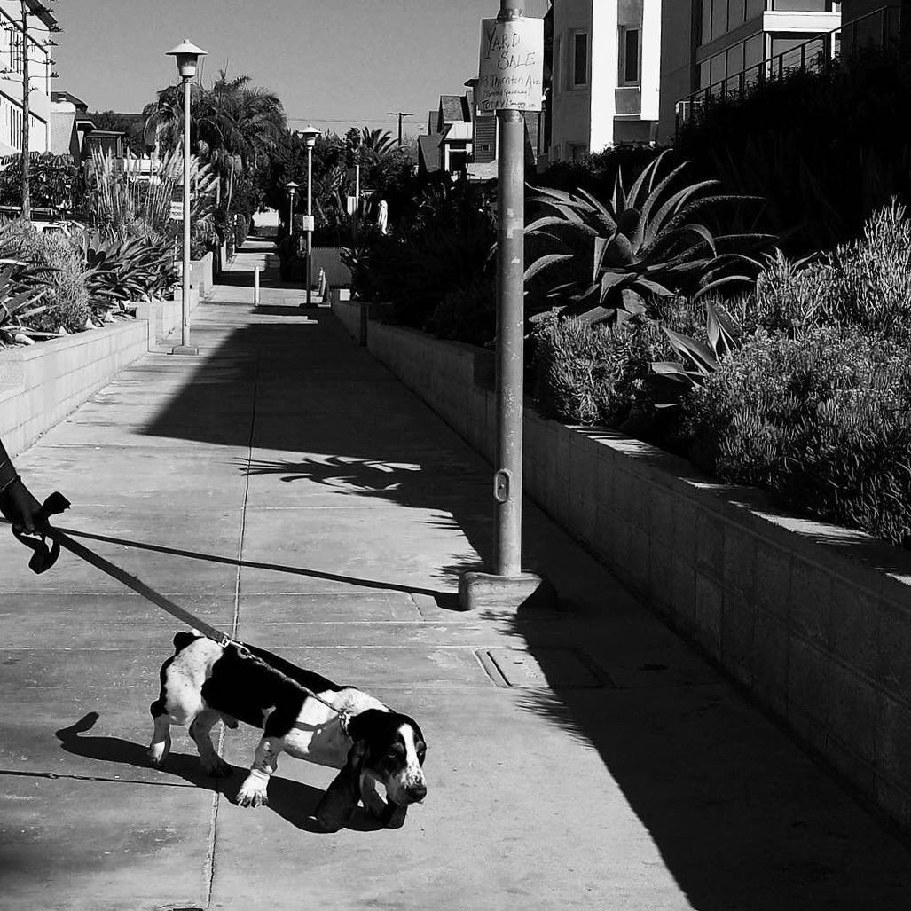 [image] - 9470870.jpeg