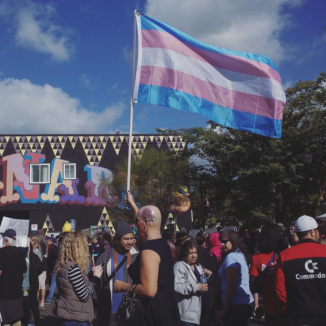 [image] - 8585701.jpeg