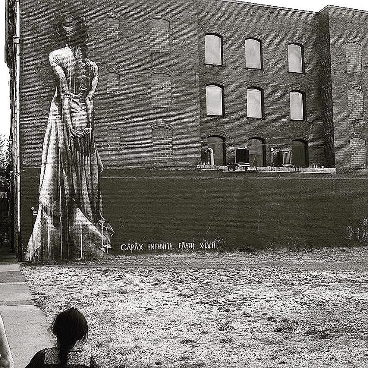 [image] - 4732797.jpeg