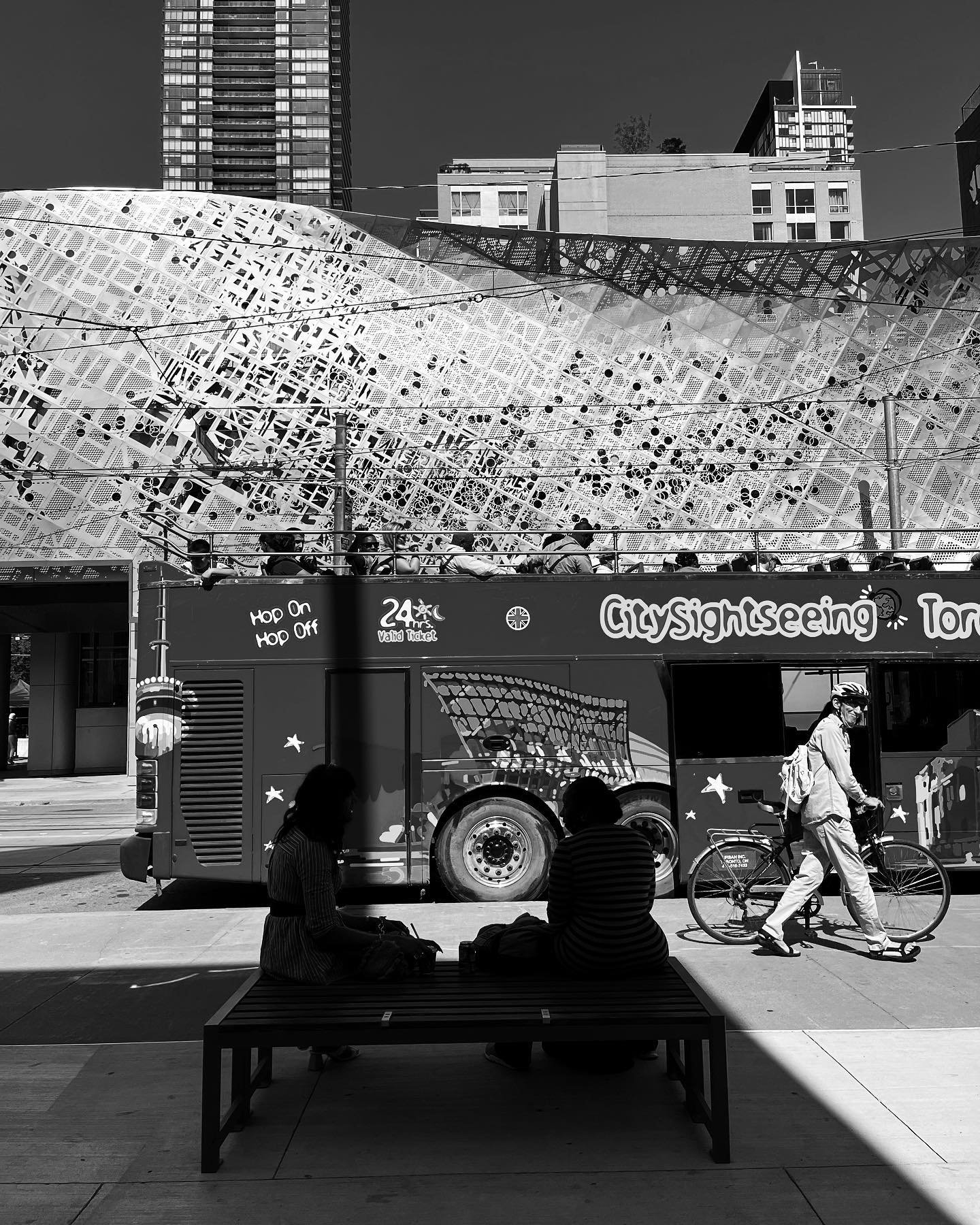 [image] - 9168697.jpeg