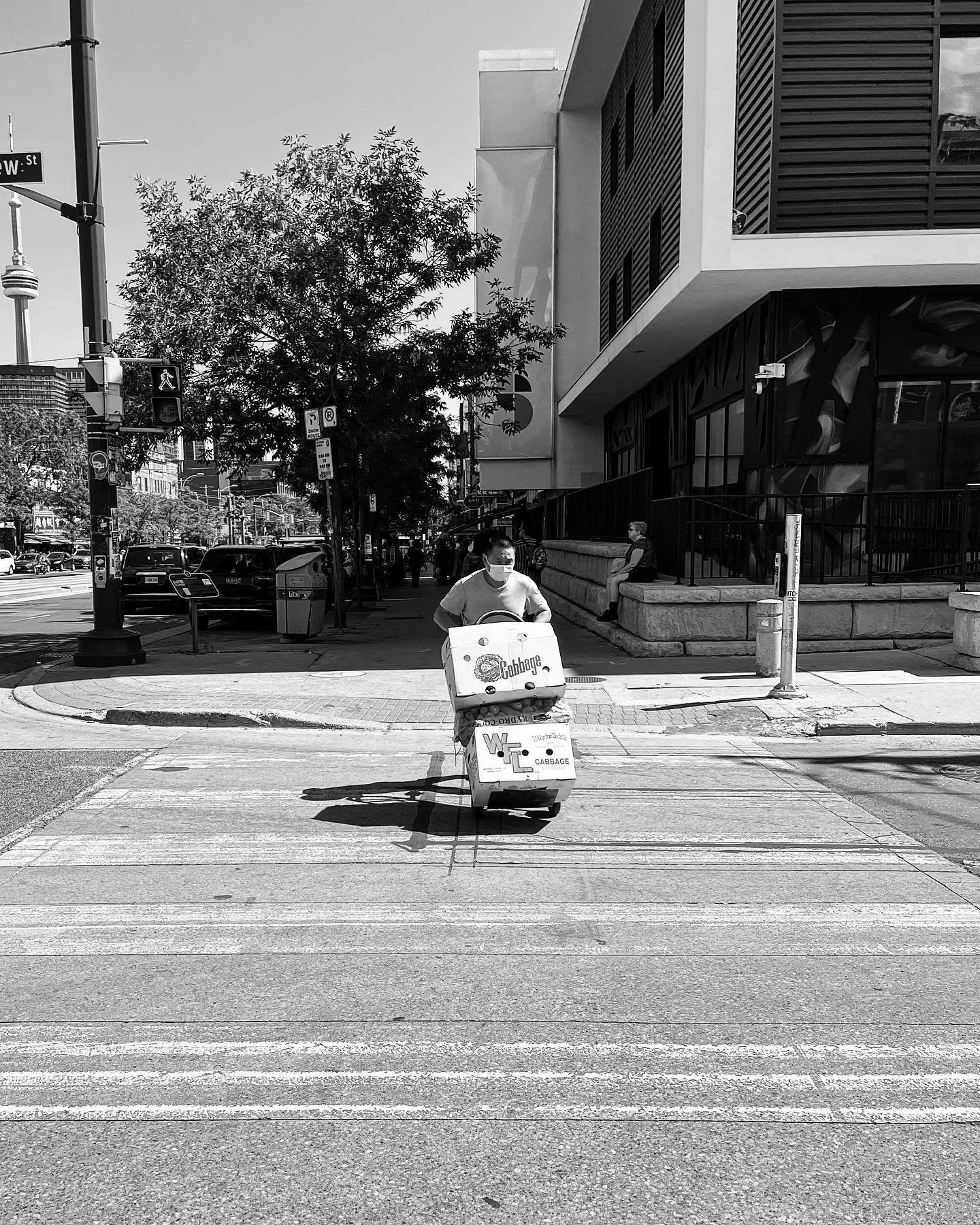 [image] - 5398526.jpeg