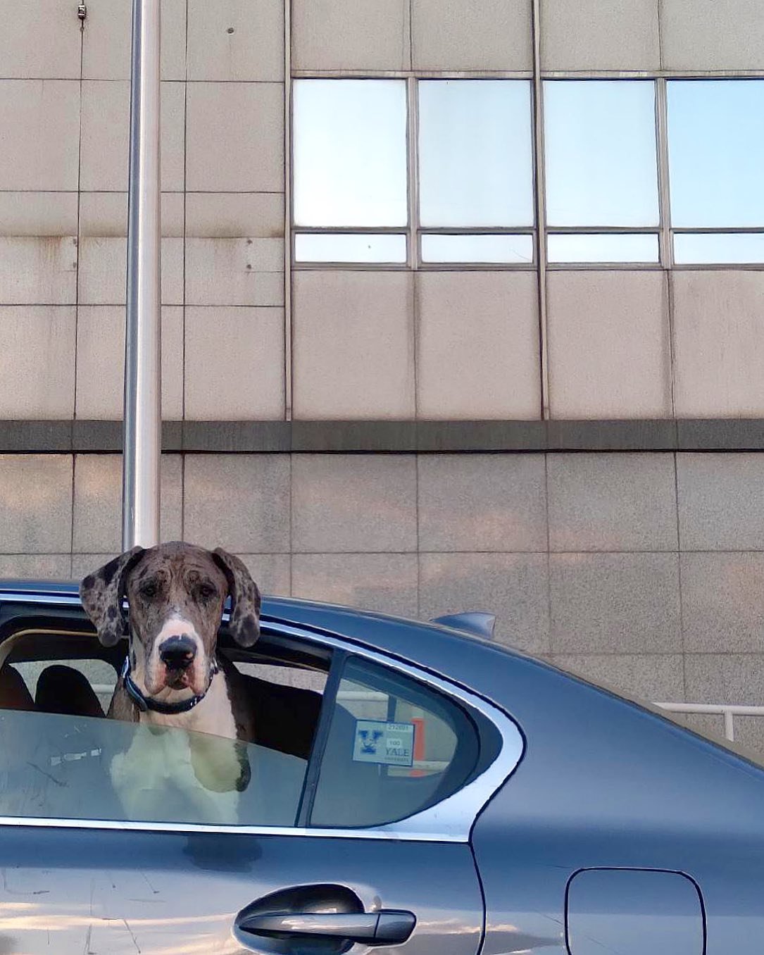 [image] - 3093498.jpeg