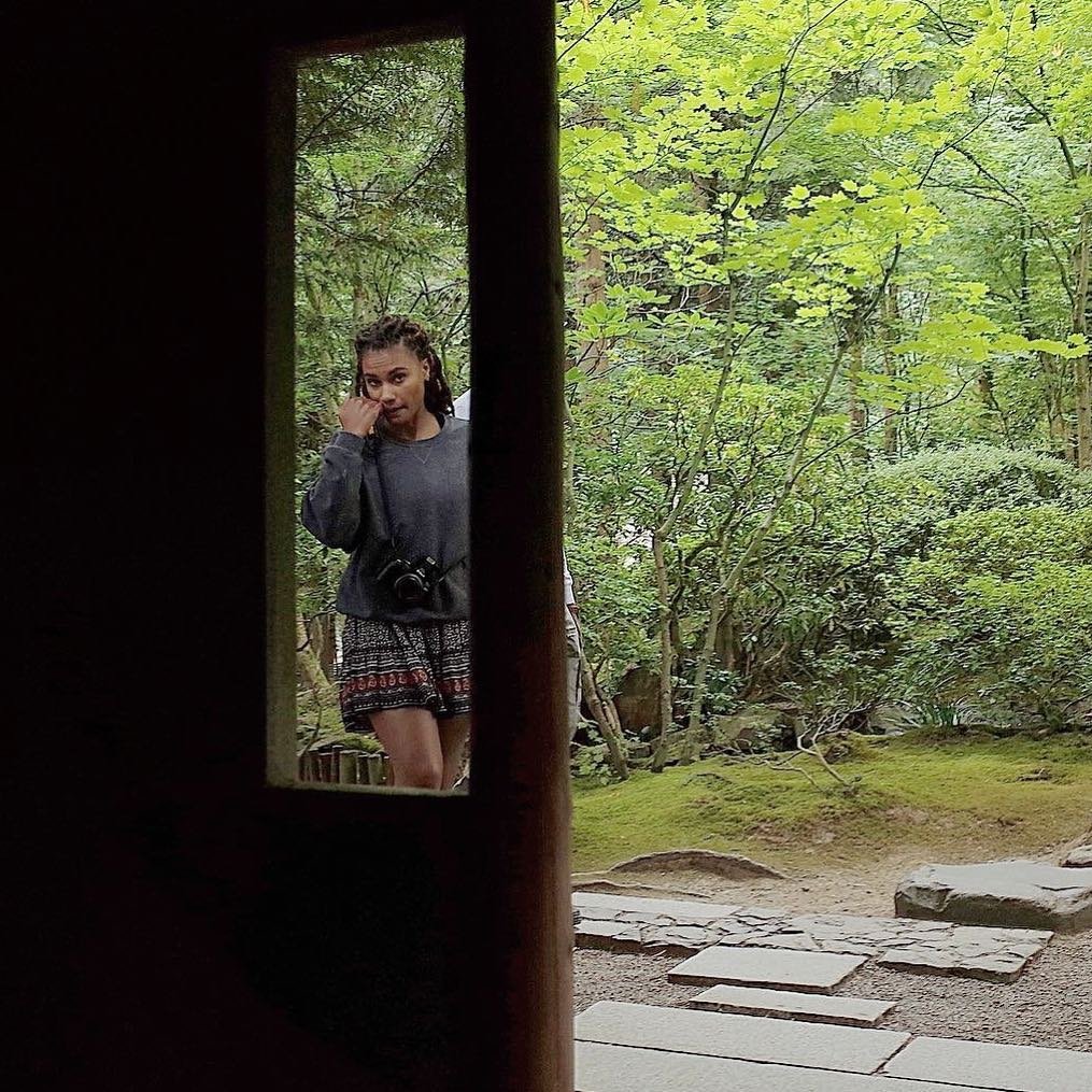 [image] - 9629205.jpeg