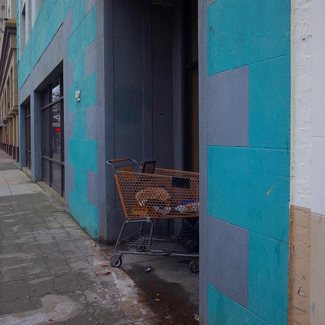 [image] - 3509912.jpeg