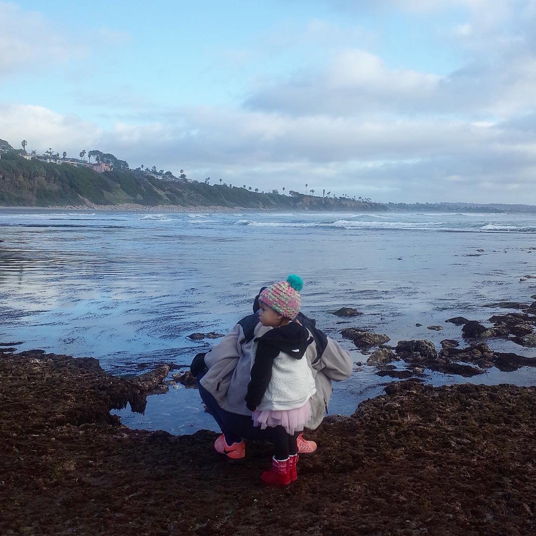 [image] - 394445.jpeg