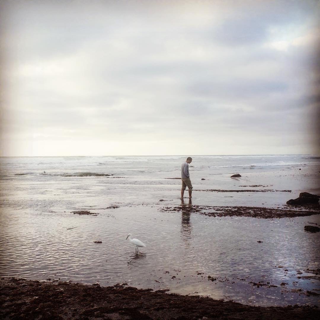 [image] - 1045109.jpeg