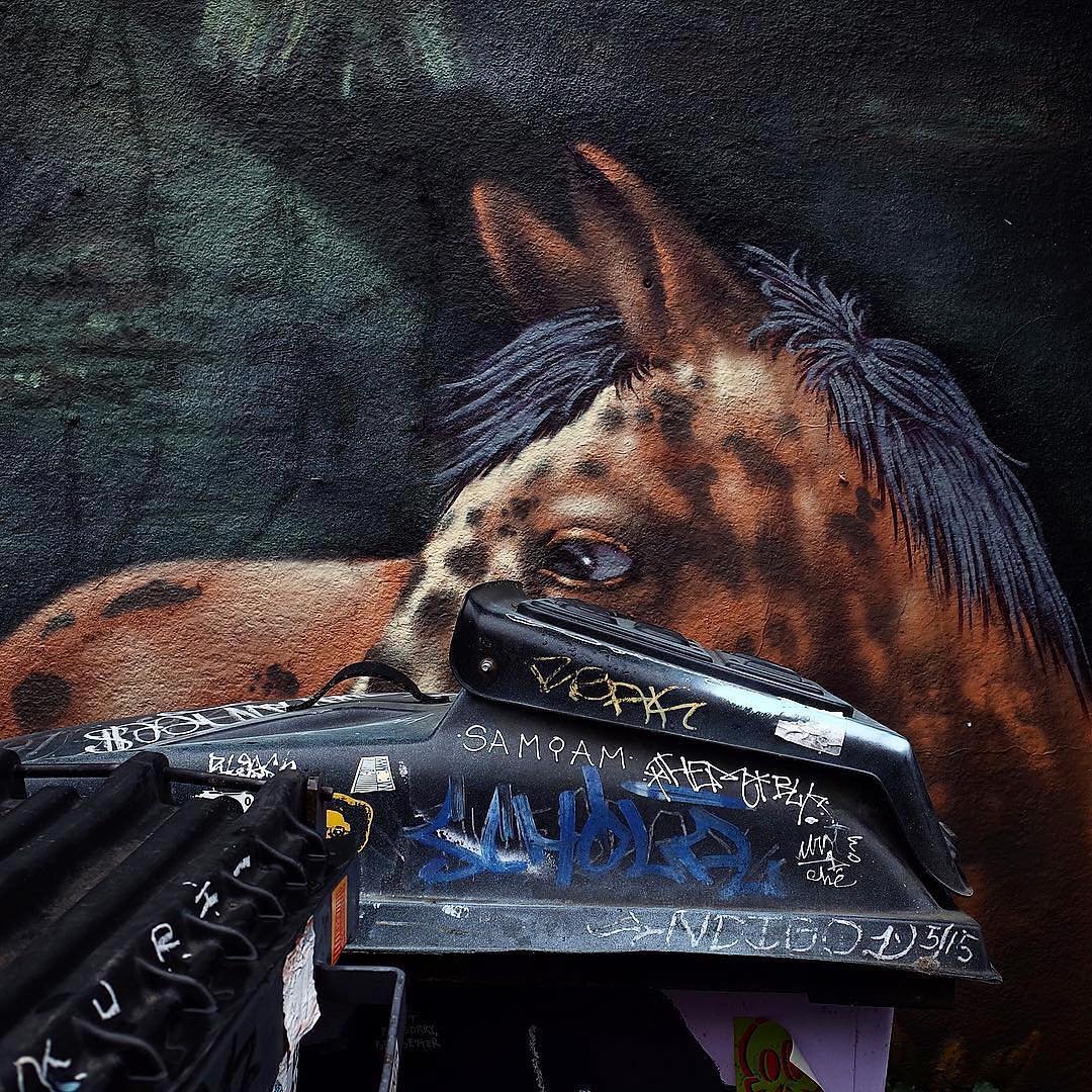 [image] - 9456685.jpeg