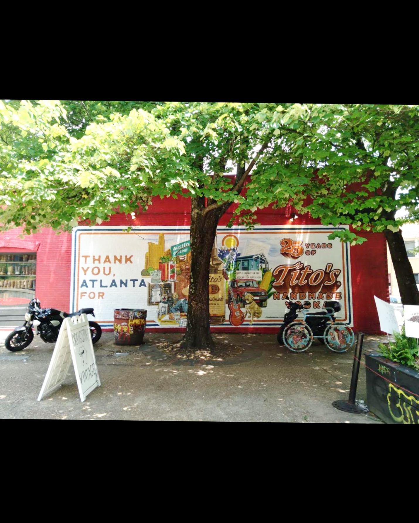 [image] - 843231.jpeg