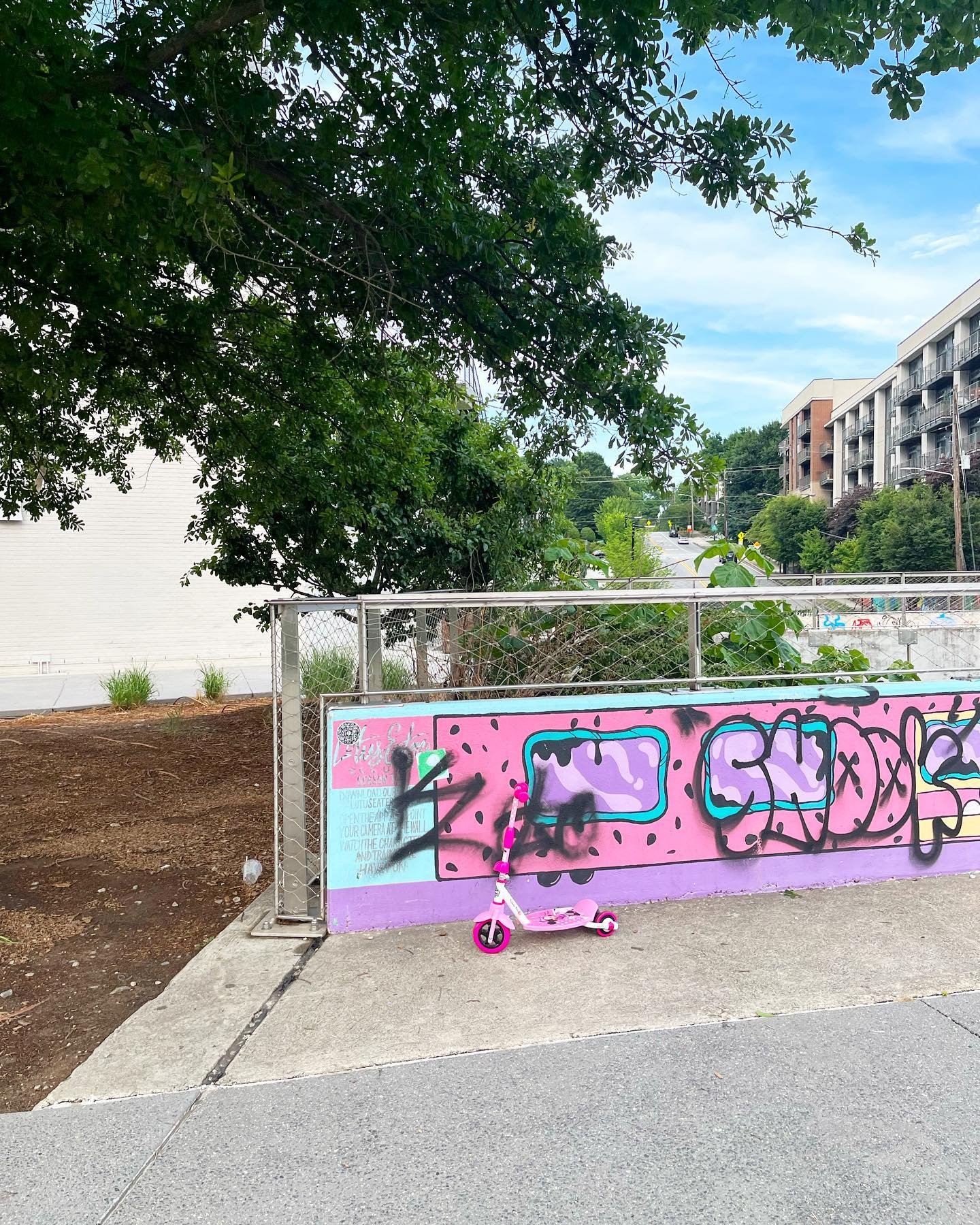 [image] - 8499321.jpeg