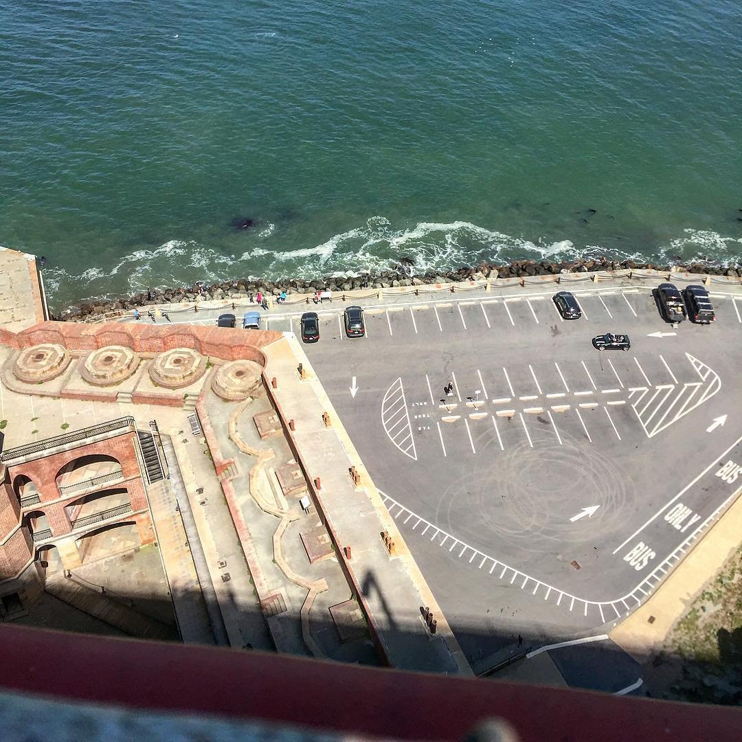 [image] - 2423061.jpeg