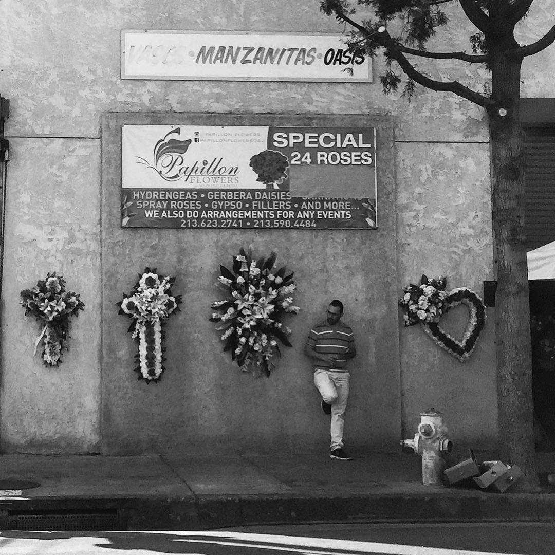 [image] - 4125084.jpeg