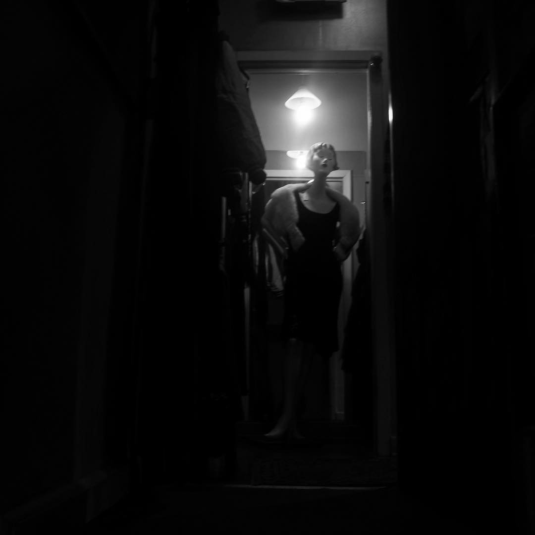 [image] - 5495773.jpeg