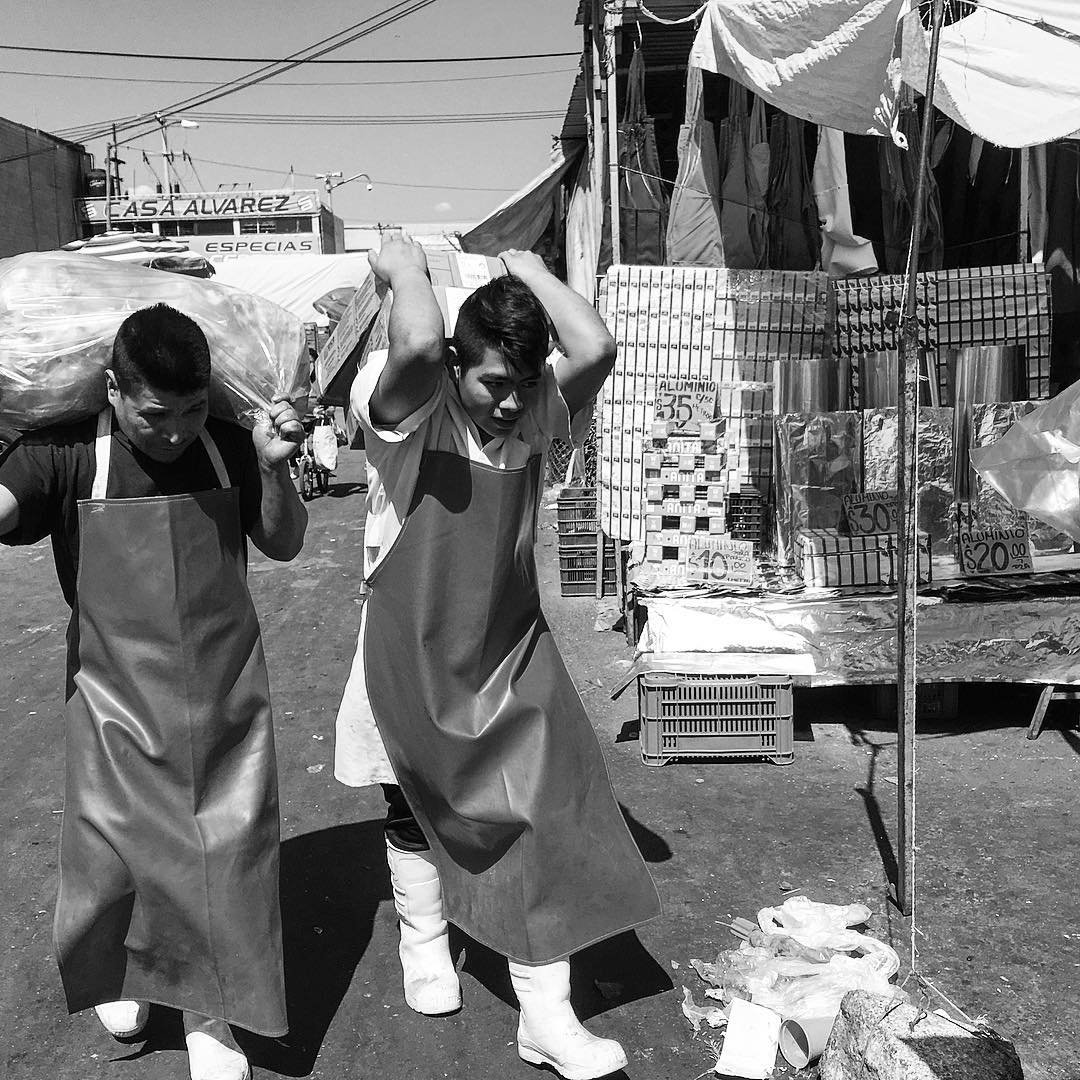 [image] - 4275015.jpeg