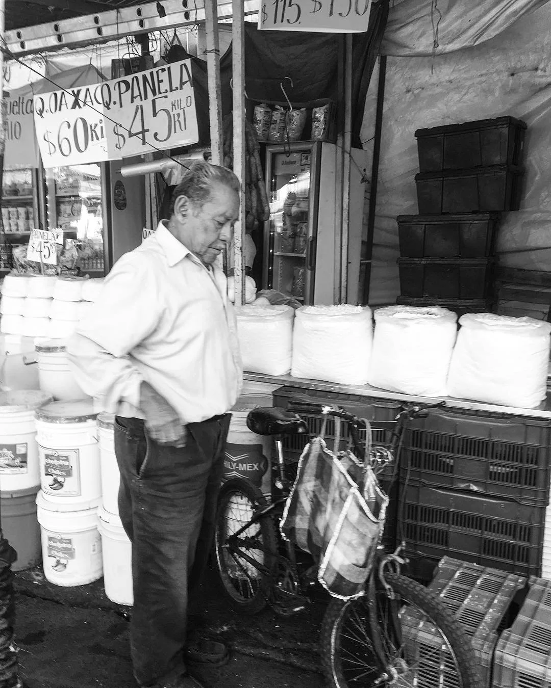 [image] - 8633298.jpeg