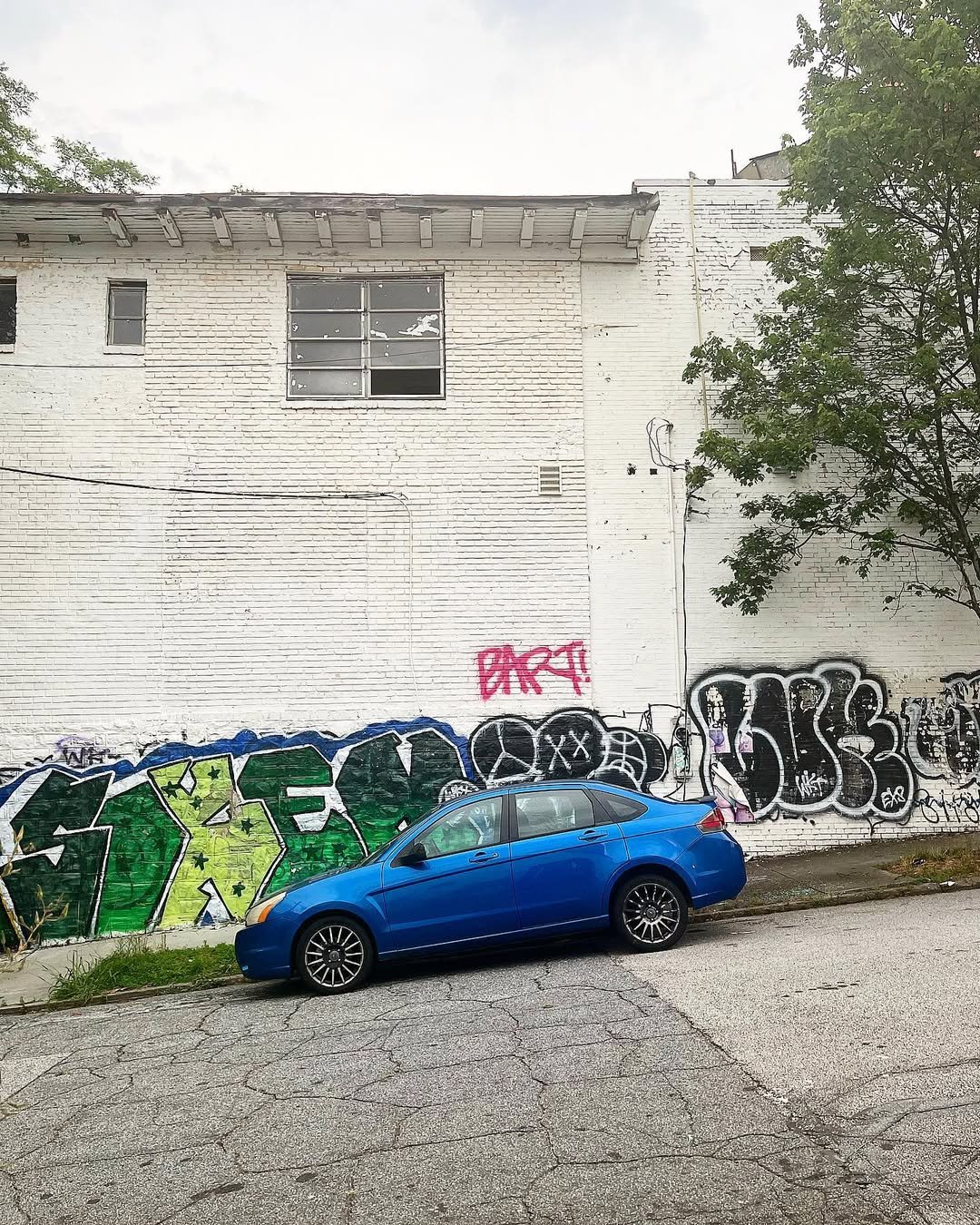 [image] - 2338884.jpeg